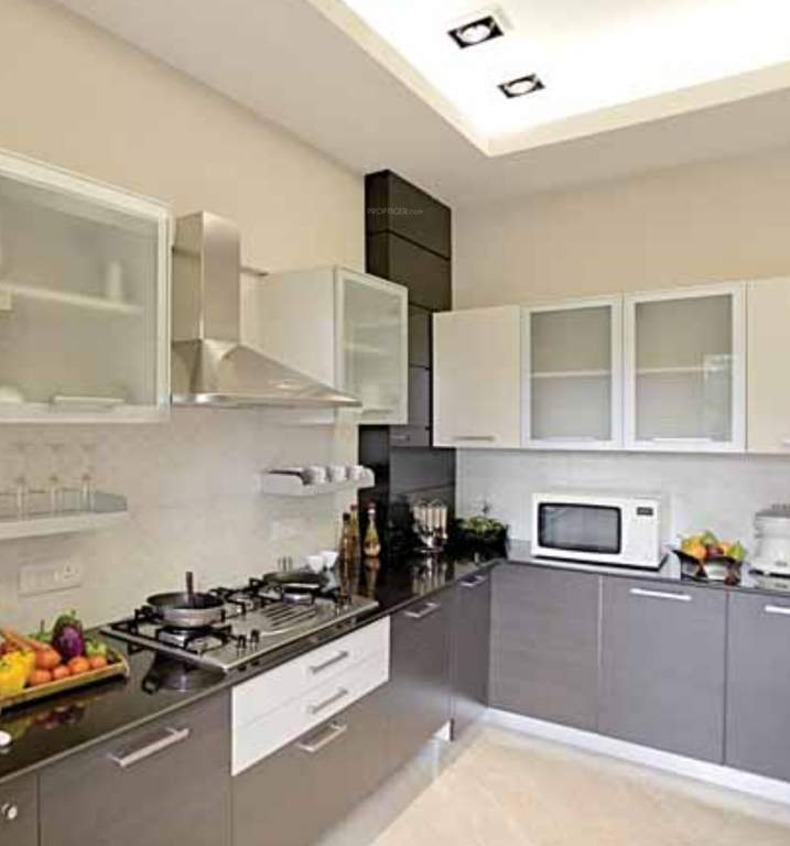 aaroha Images for Main Other of Tridhaatu Aaroha