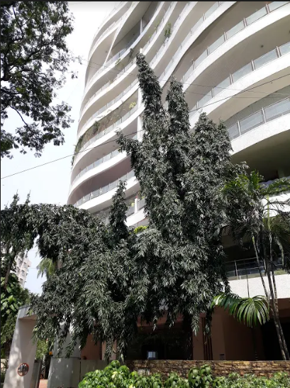 akshay anand Elevation