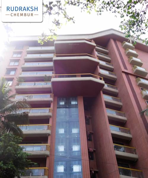 Images for Elevation of Tridhaatu Rudraksh