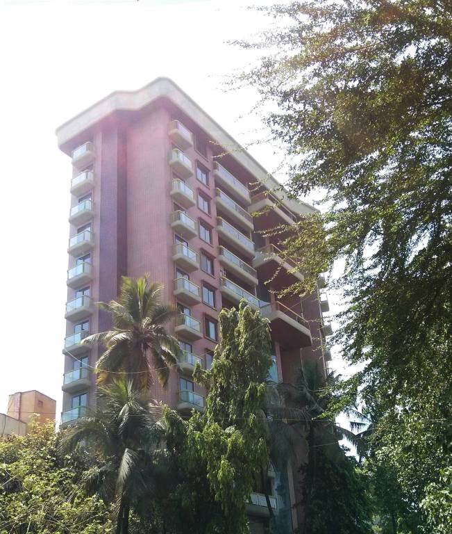 Images for Elevation of Tridhaatu Rudraksh