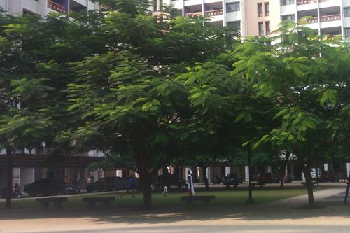  mangal-bhairav Landscaped Gardens