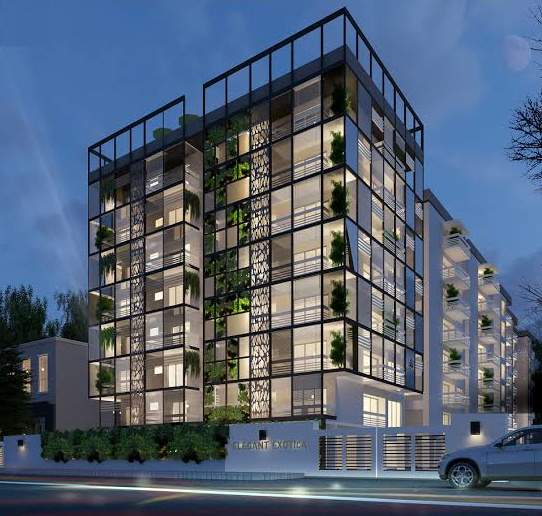  exotica Images for Project