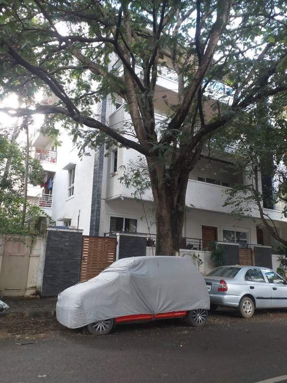  silver oak Elevation