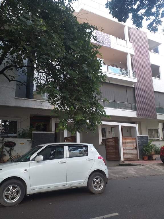  silver oak Elevation