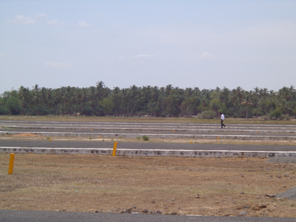  emerald-village Plot