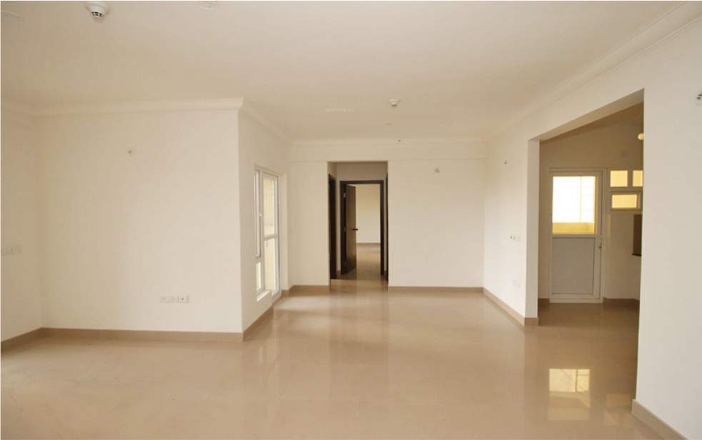 high crest Images for Main Other of Purva High Crest