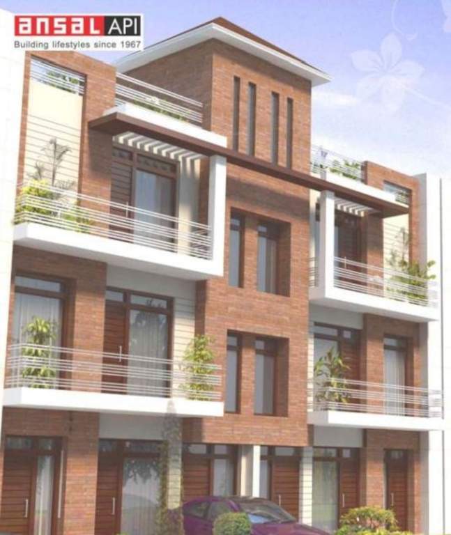  freesia floors Elevation