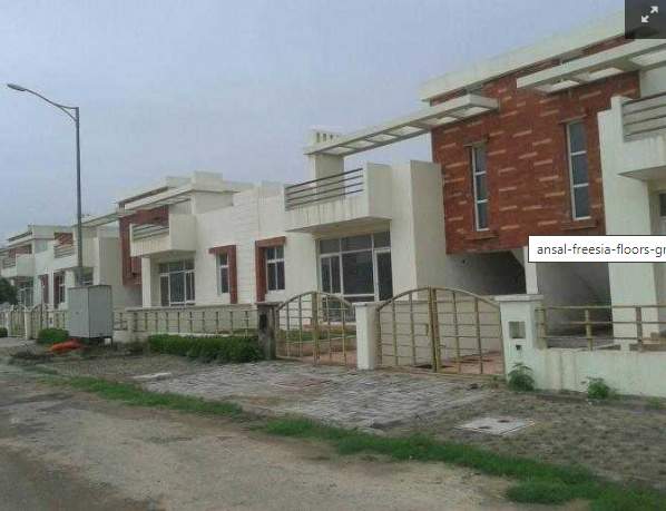  freesia floors Elevation