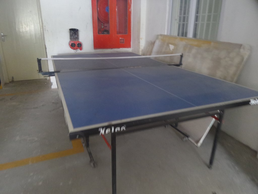 serenity Table Tennis
