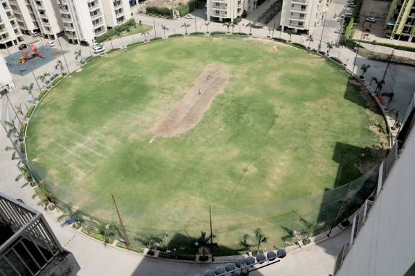  addresses Cricket Pitch