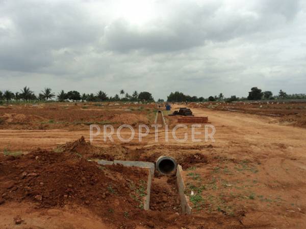 shabu-developers mount-zoe Main Other