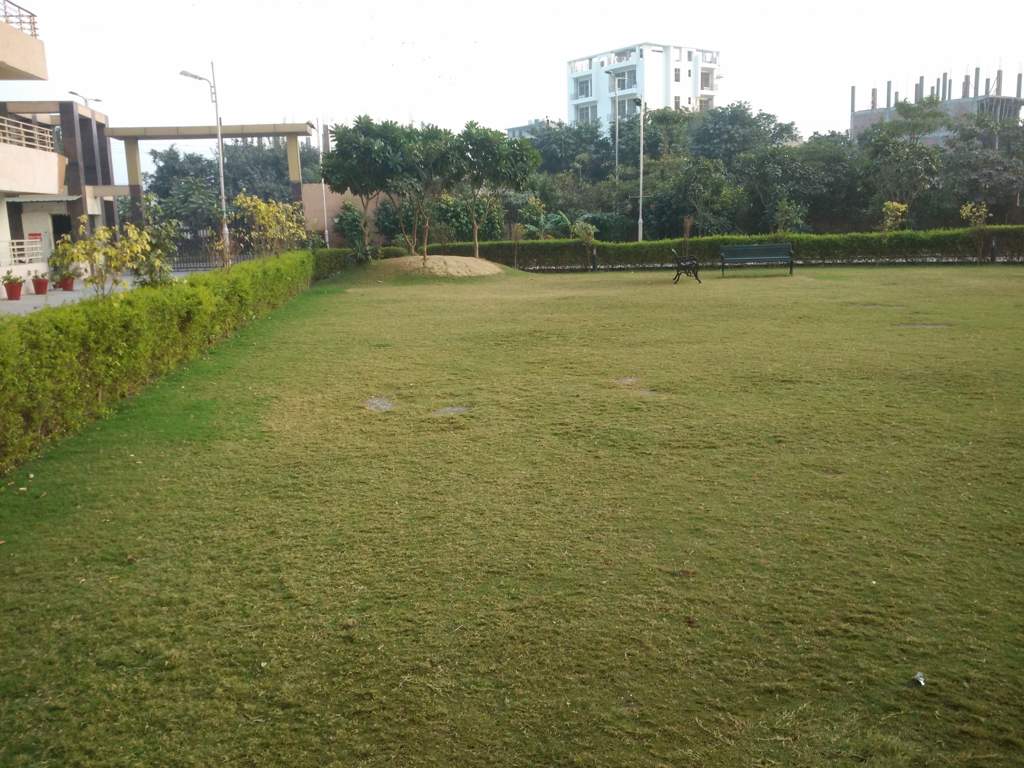 laboni Landscape Garden and Tree Planting