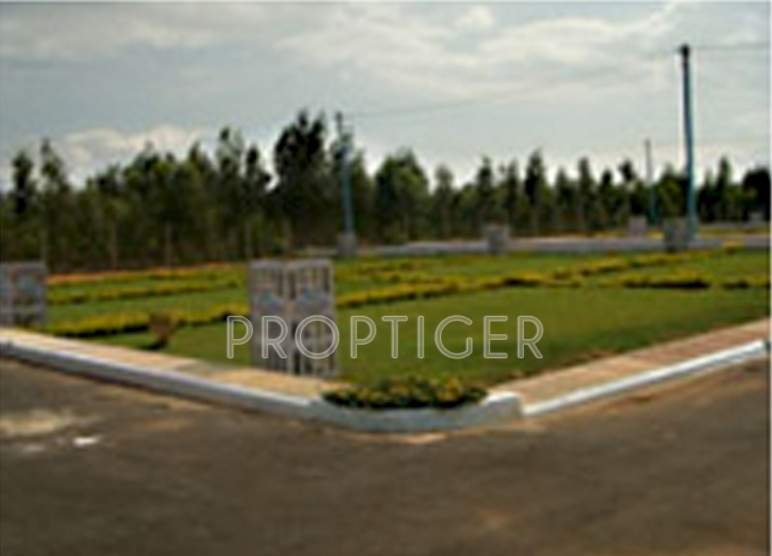 shabu developers avanthi vista Main Other