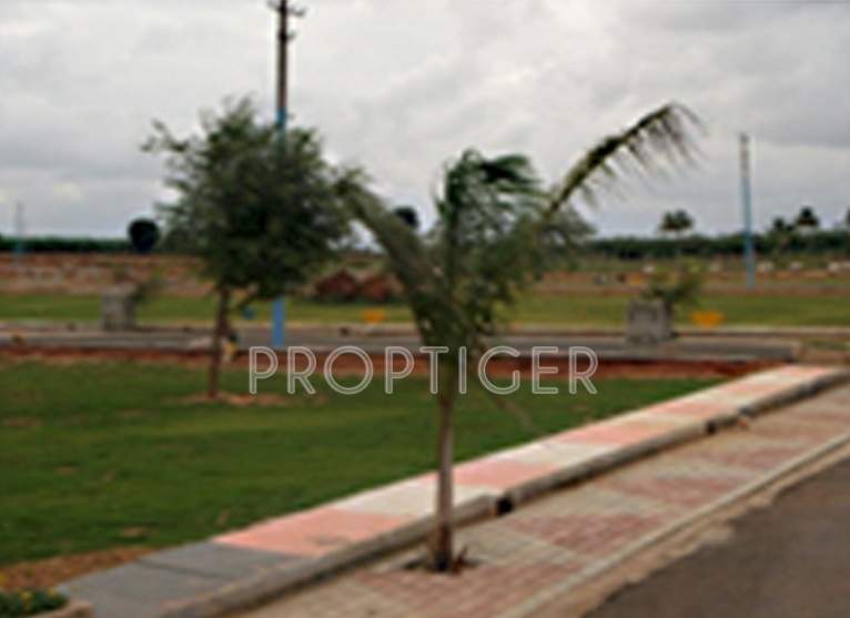 shabu developers avanthi vista Main Other