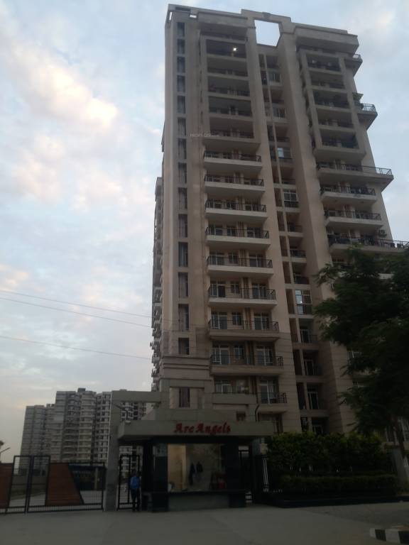  arc angels Images for Project