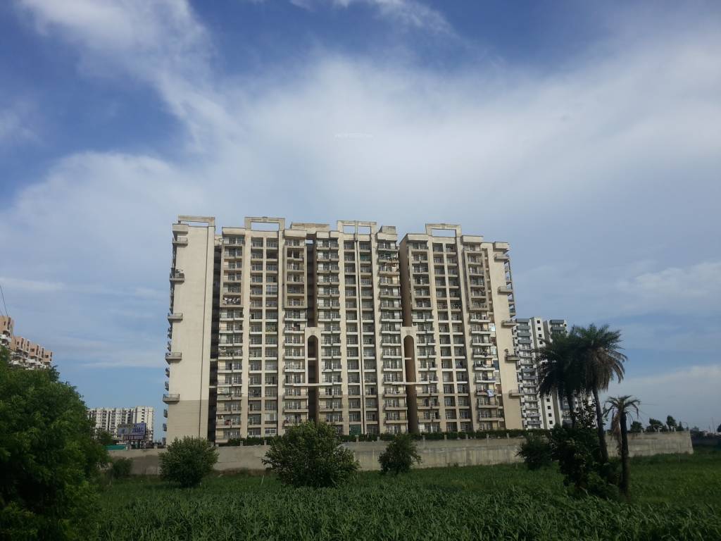  arc angels Images for Project