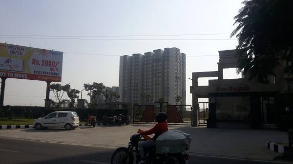 Images for Project arc-angels Images for Project