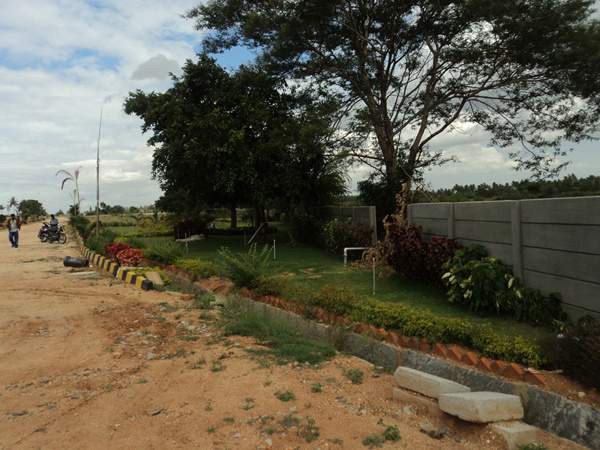 Images for Amenities of Shabu Developers Aashaya Paradise