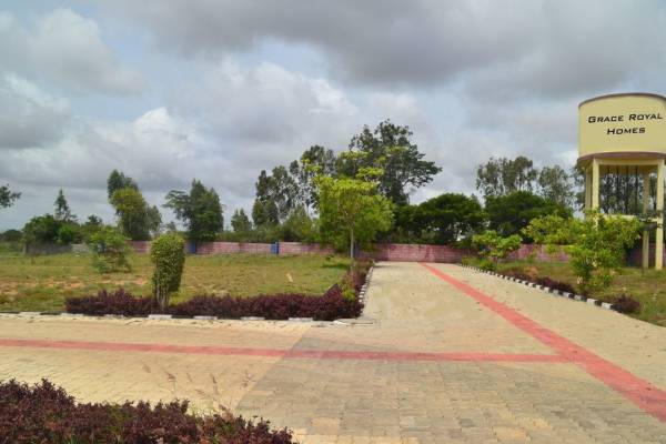 Images for Elevation of Grace Royal Homes