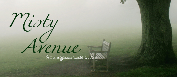 Elevation misty avenue Elevation