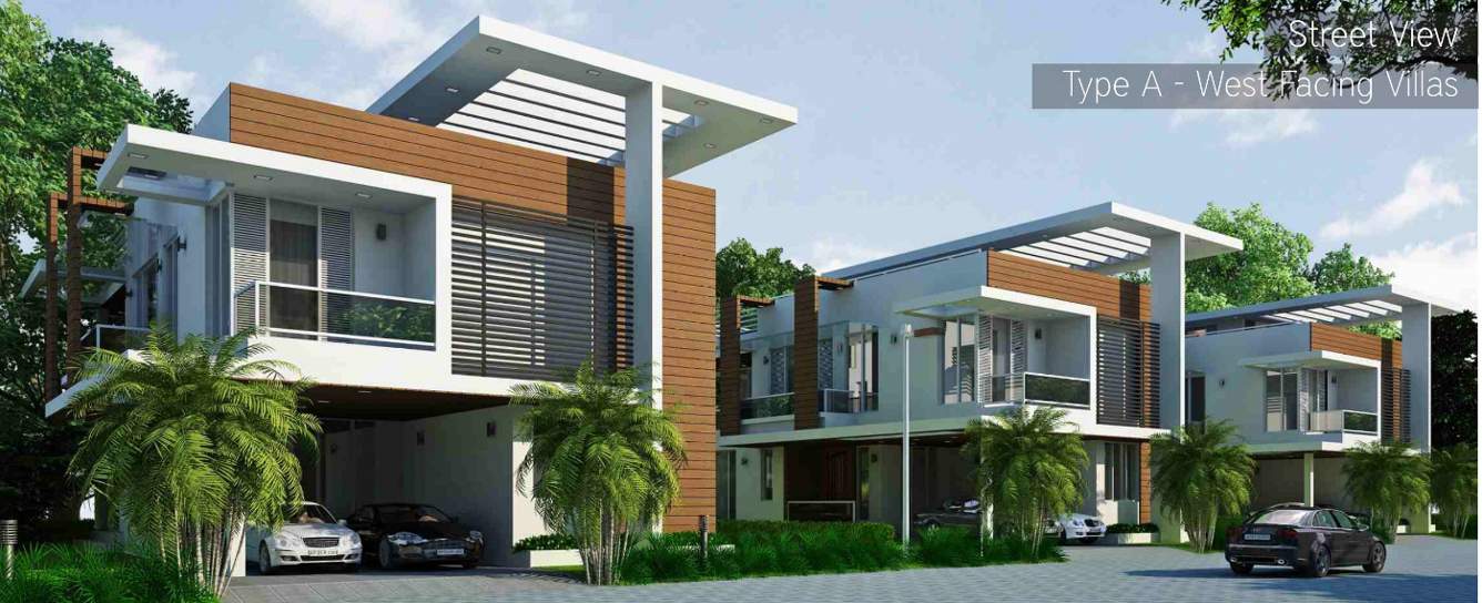  myans luxury villas Images for Elevation of Mayances Myans