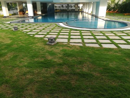  myans-luxury-villas Images for amenities