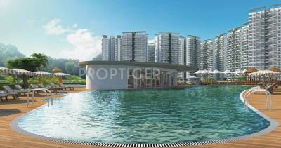 Swimming Pool puneville Swimming Pool