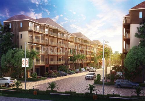 Images for Elevation of Xrbia Edgewater