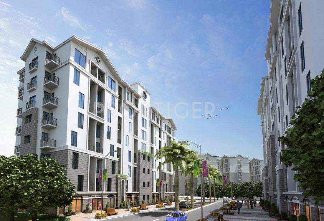  xrbia Images for Elevation of Xrbia Xrbia