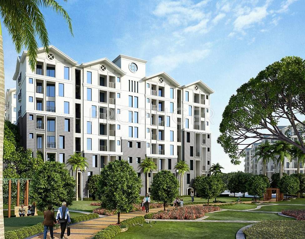  xrbia Images for Elevation of Xrbia Xrbia