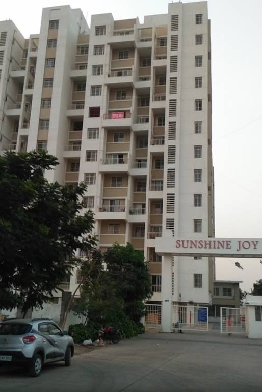 sunshine joy Images for Project