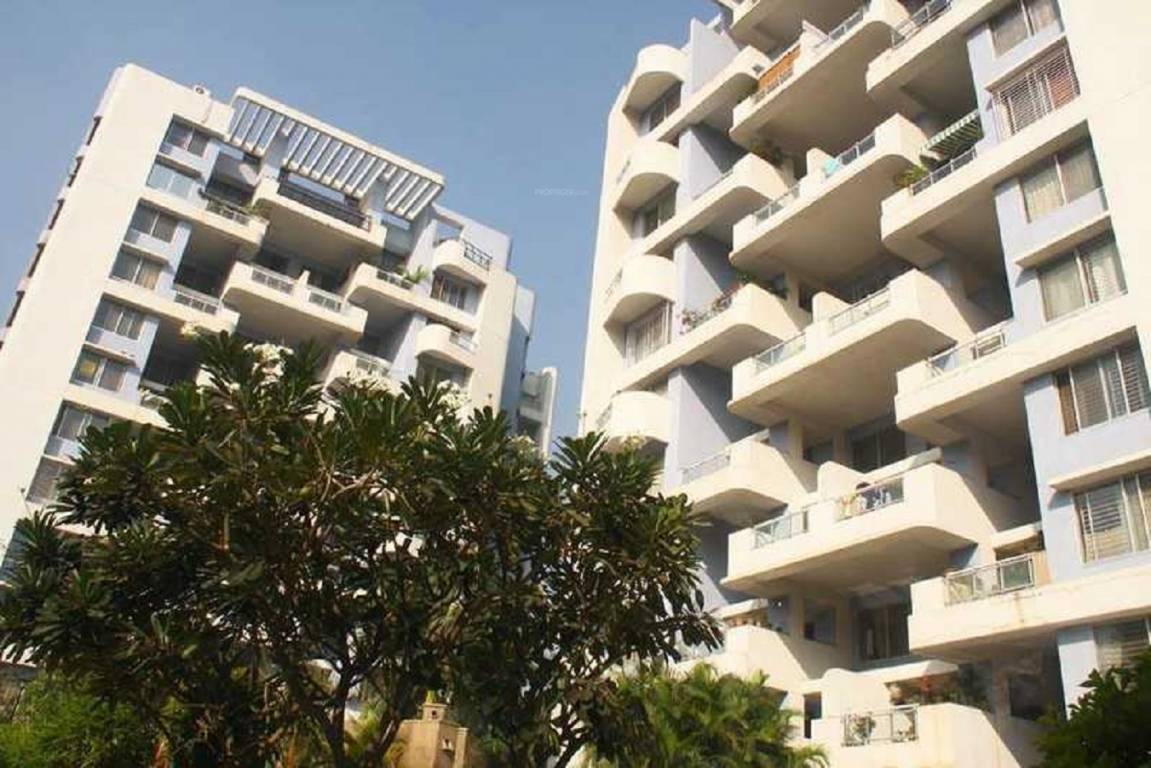  frangipani Elevation