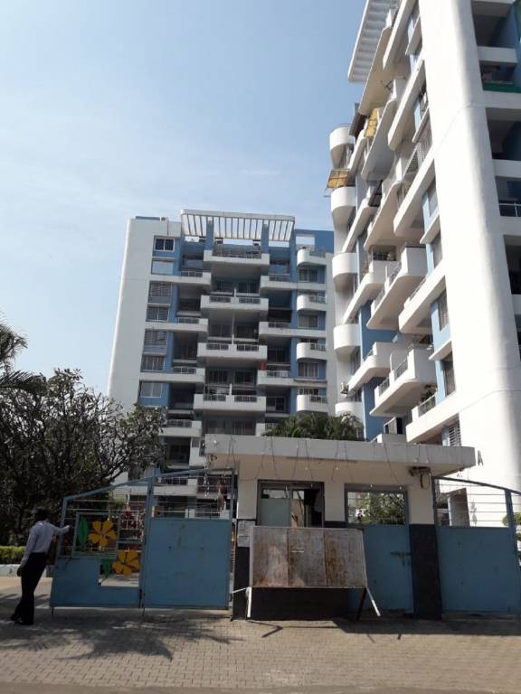  frangipani Elevation