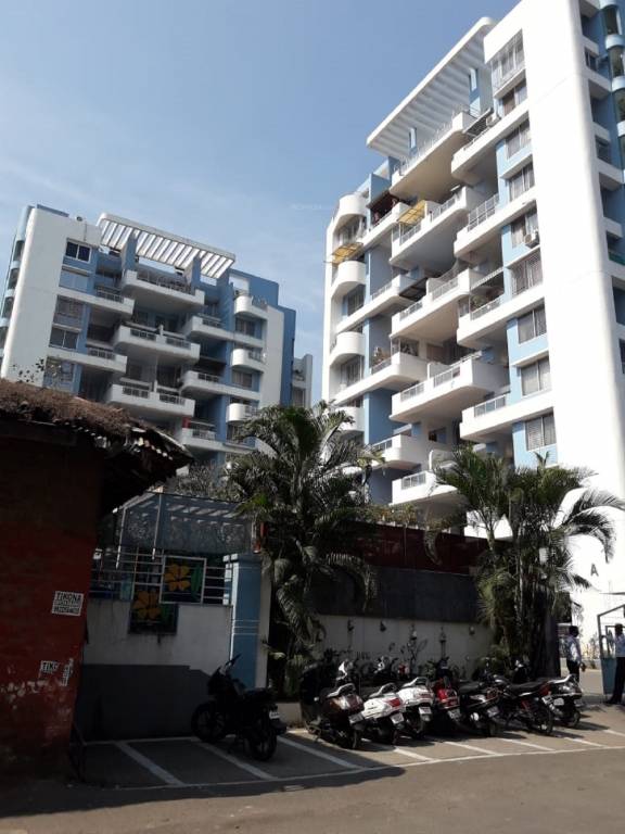  frangipani Elevation