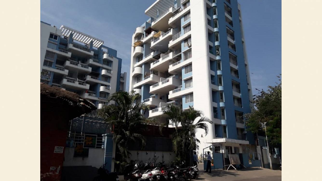  frangipani Elevation