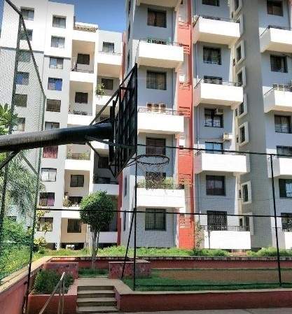  grande Basketball Court