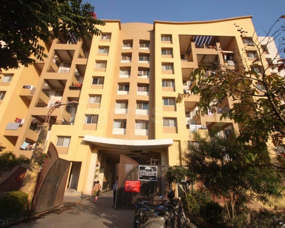 Elevation yellow blossoms Elevation