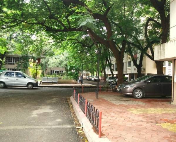 Others sunshine-court Others