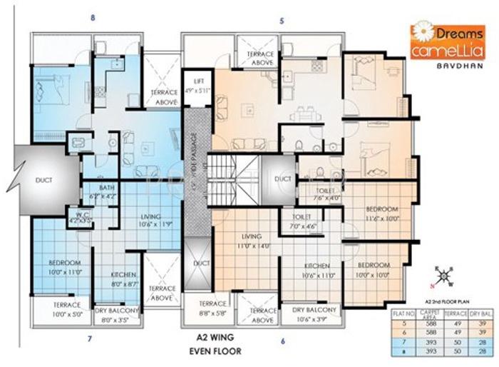 Images for Cluster Plan of Dreams Camellia