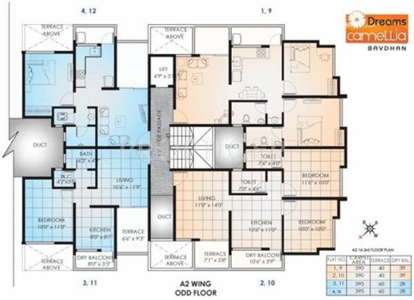 Images for Cluster Plan of Dreams Camellia
