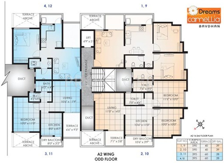 Images for Cluster Plan of Dreams Camellia