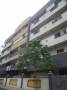 Avee Infra Arise Cross Woods