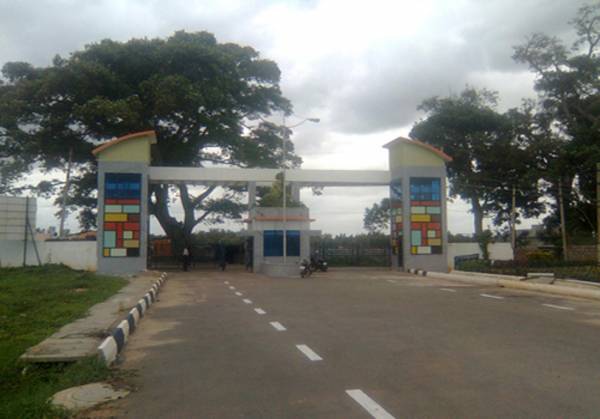 Main Other elmwood Main Other