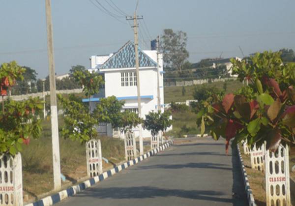 Main Other elmwood Main Other