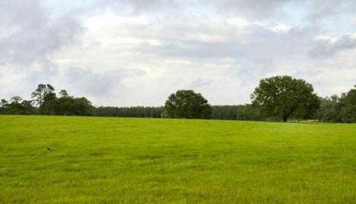  green-city Landscape Garden and Tree Planting