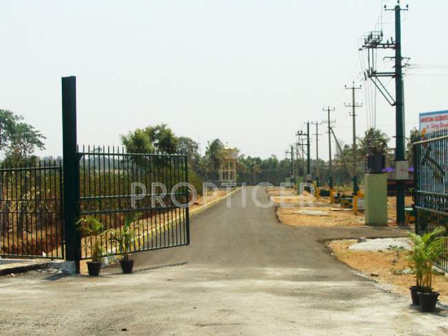  green city Main Other