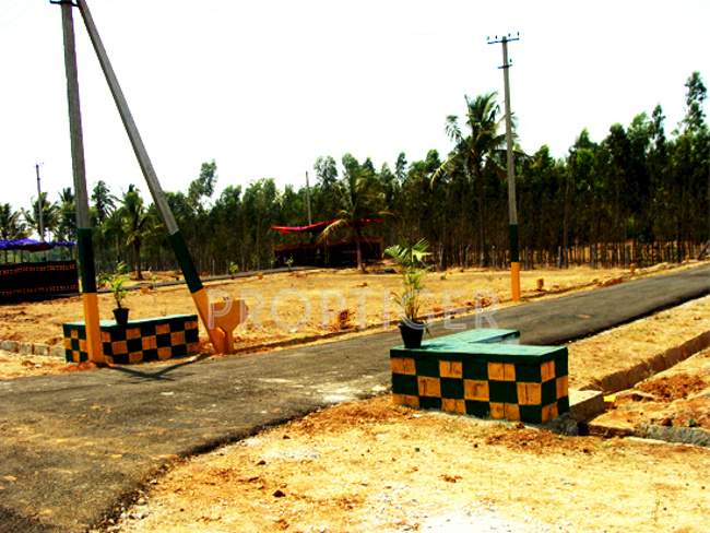  green city Main Other