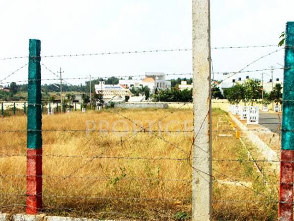  green-city Main Other