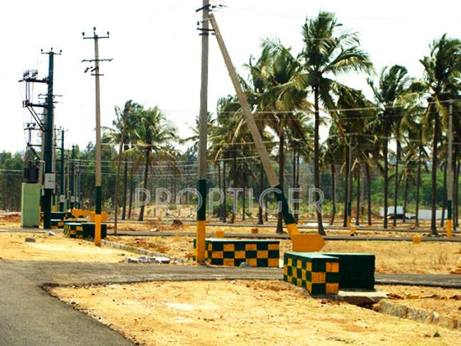  green city Main Other