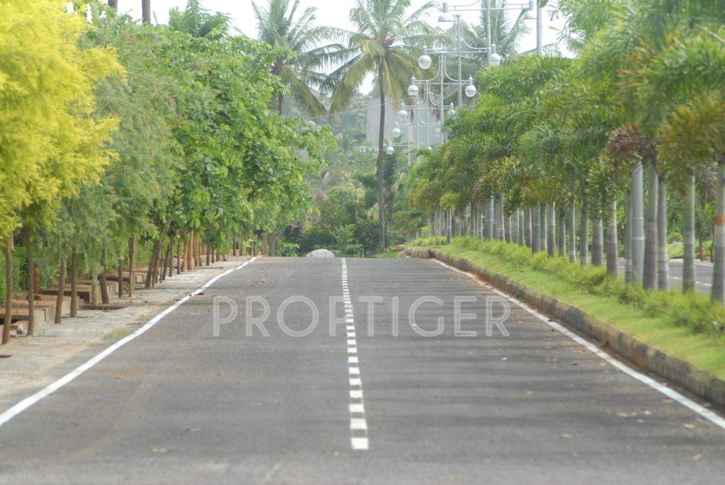 Images for Main Other of Blue Valley Smilee Anandavana I